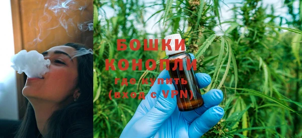 PSILOCYBIN Бронницы