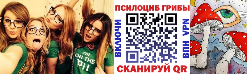 Псилоцибиновые грибы Psilocybine cubensis  blacksprut онион  Тосно 