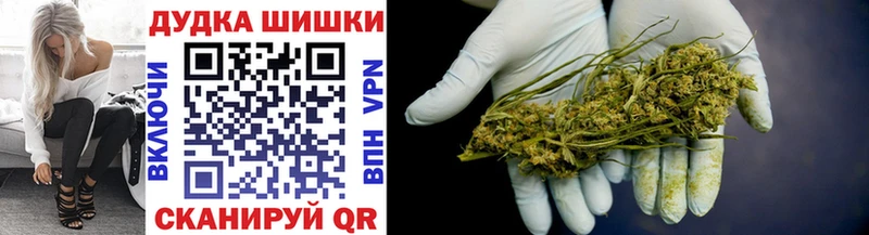 где купить наркоту  Тосно  mega рабочий сайт  Конопля индика 